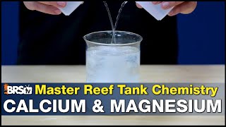 Master Reef Tank Calcium amp Magnesium Going Beyond the Right Levels and Preventing Precipitation [upl. by Orabla]