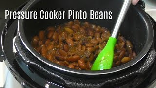 Pressure Cooker Pinto Beans  No Soak Quick Cook Beans  Cosori 2 Quart Electric Pressure Cooker [upl. by Nnylsia]