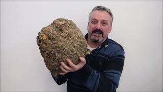 Wood Turning Burl Removing the Bark From a Burl Wood Tree log chunk [upl. by Sisely113]