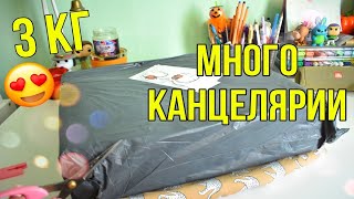 РАСПАКОВКА  ПОСЫЛКА С КАНЦЕЛЯРИЕЙ ALIEXPRESS [upl. by Aelgna]