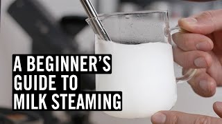 Everything You Need To Know To Steam Great Milk [upl. by Rodolfo]