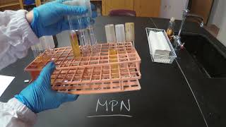 Most Probable Number MPN  Microbiology [upl. by Netnert998]