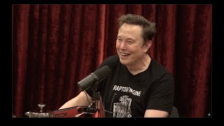 Joe Rogan Experience 2281  Elon Musk [upl. by Annad]