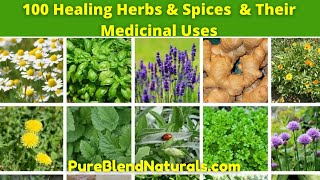 Top 100 Best Healing Medicinal Herbs Spices And Plants Names Health Benefits And Medicinal Uses [upl. by Anemij]