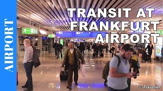 TRANSIT WALK AT FRANKFURT Airport FRA Terminal 1  Connection Flight Transfer Arriving amp Departing [upl. by Noni731]