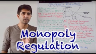 Y2 28 Competition Policy  Monopoly Regulation [upl. by Atekal398]