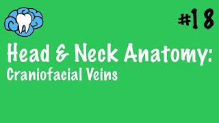 Head amp Neck Anatomy  Craniofacial Veins  INBDE [upl. by Yesak610]